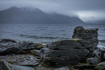 _79A2181-kivi-rannalla.jpg