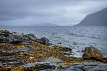 _79A2182-rantaa.jpg