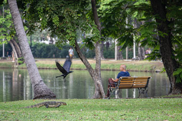 _79A3838-man-bird-lizard.jpg