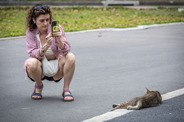 _79A3919-woman-and-cat.jpg